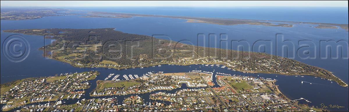 Peter Bellingham Photography Raymond Island - VIC (PBH4 00 9493)